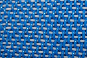 �������V�W(w��ng)